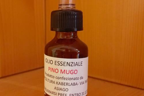 Olio essenziale pino mugo