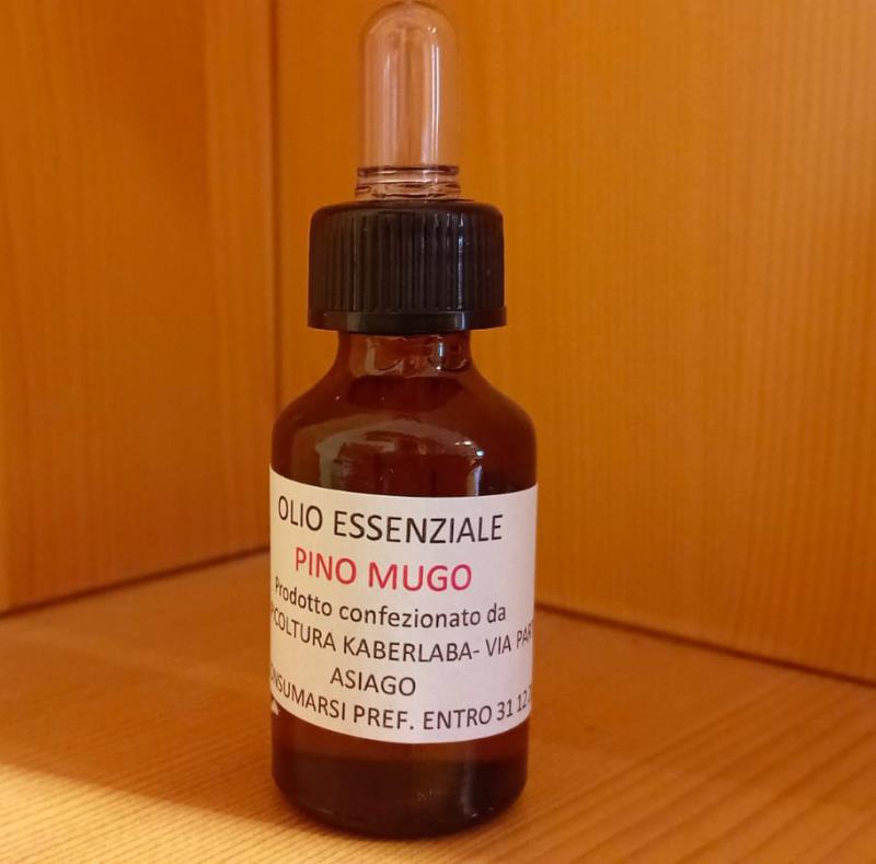 Olio essenziale pino mugo